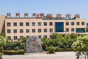 Porcellana Henan Yimu Technology Industry Co., Ltd.